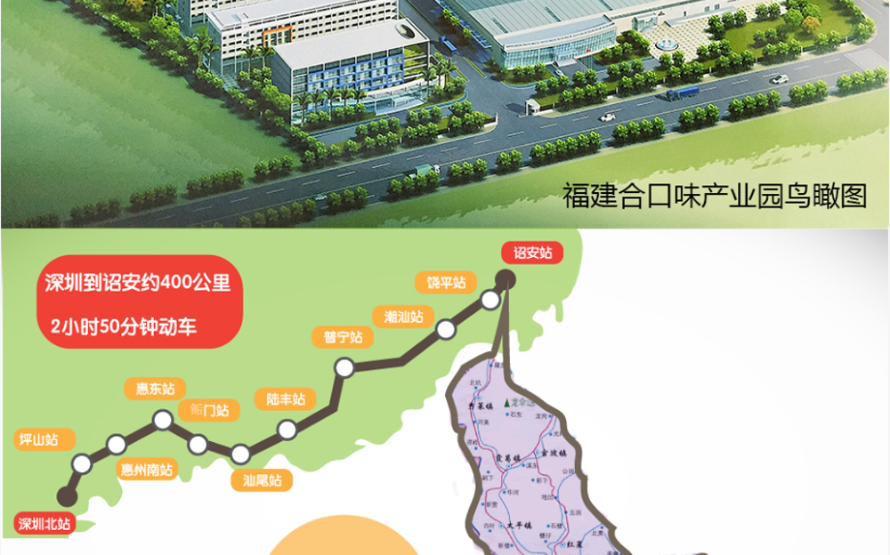 合口味粽子,合口味粽子厂家